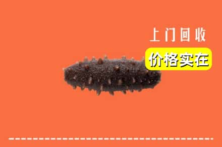 宜昌夷陵区回收海参