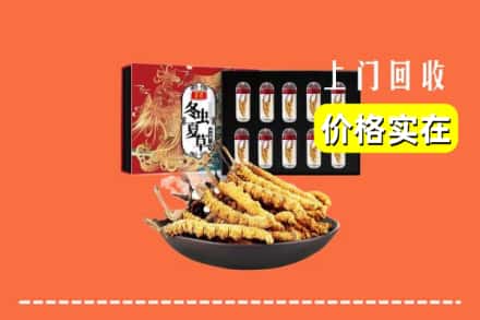 宜昌夷陵区回收虫草